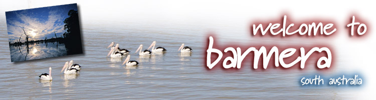 Barmera Banner Image