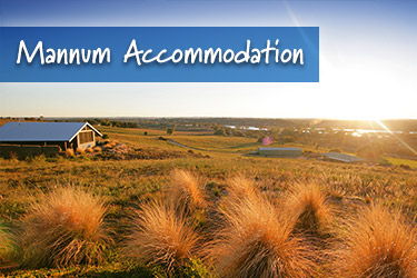 Mannum Things to Do