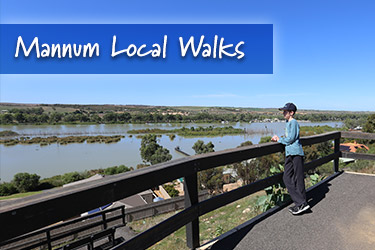 Mannum