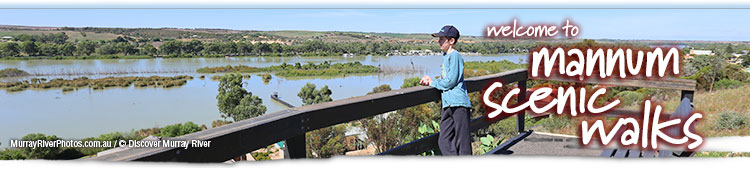 Mannum Scenic and Historic Walks