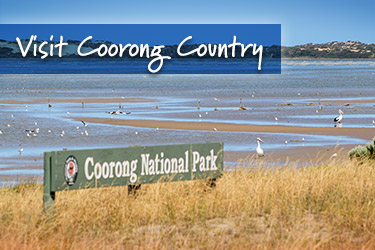 Visit Coorong Country