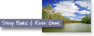 Steep banks & River Gums