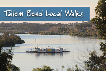 Tailem Bend Local Walks