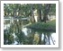 Balranald Water Levels
